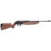 Crosman 760 Pumpmaster