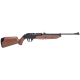 Crosman 760 Pumpmaster