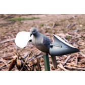 MOJO Wind Dove vinddrevet lokkedue
