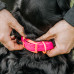 HP&G hundehalsbånd – pink – 19 mm