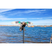 MOJO Elite Series Green Wing Teal lokkef..