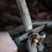 Morakniv Garberg BlackBlade (C) Multi-Mount