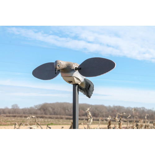 MOJO Elite Series Dove lokkefugl