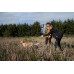 Seeland Dog Active jakke Women – Meteorite