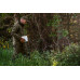 Seeland Key-Point Active II jakke – Pine green