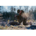 Seeland Helt II jakke – Grizzly brown