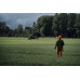 Seeland Vantage bukser – InVis green/InVis orange blaze