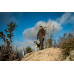 Seeland Chaser BGH Smock – Pine green