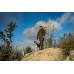 Seeland Chaser BGH Smock – Pine green