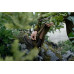 Seeland Chaser Aero bukser – Pine green