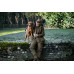 Seeland Woodcock Royale Eve Jakke – Shaded Olive