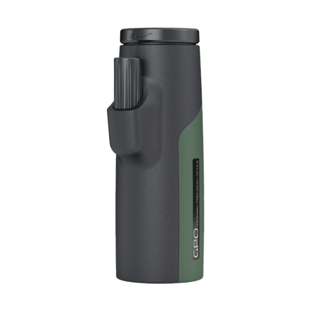 PASSION Mono - 10x36