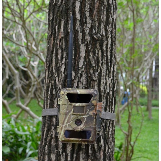 Vildtkamera – 4G, Live, PTZ og tilbehør hos The Hunting Shop