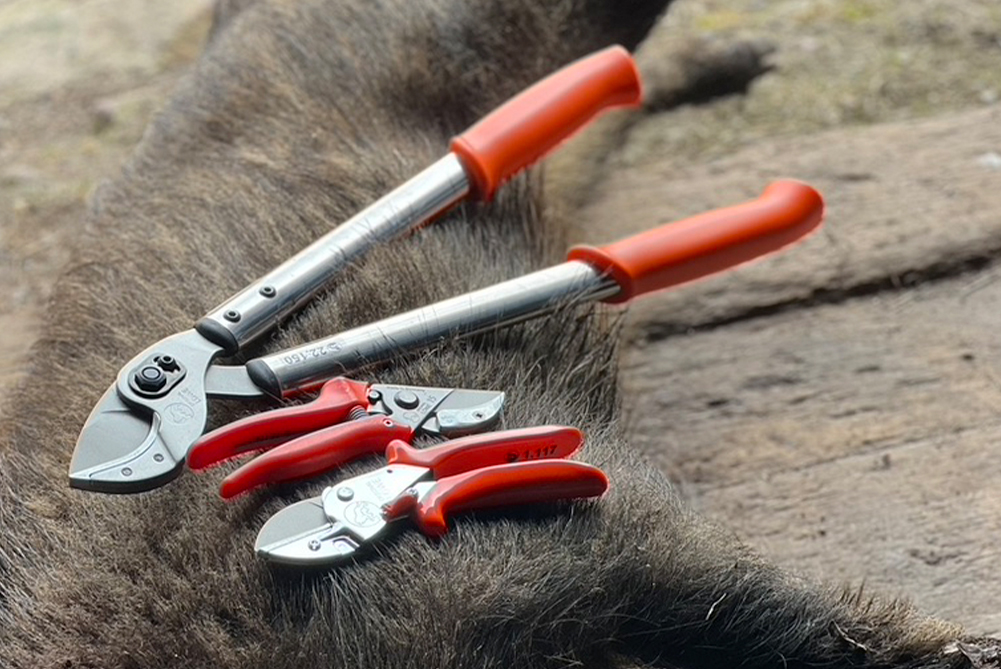 Rygsæk med lys, strøm og vildtkamera-tilbehør